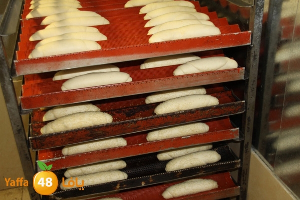 k7eelkhobzn455 (29).JPG